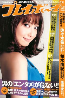 春野樱本子